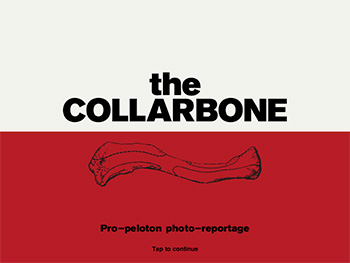 the collarbone