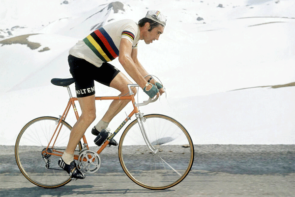 eddy merckx