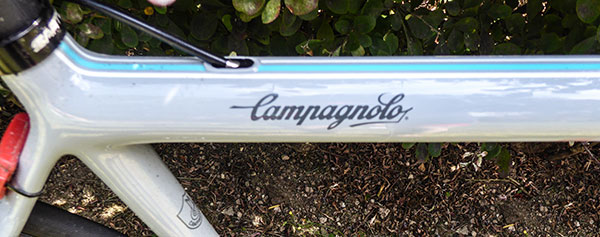 campagnolo sarto service bike