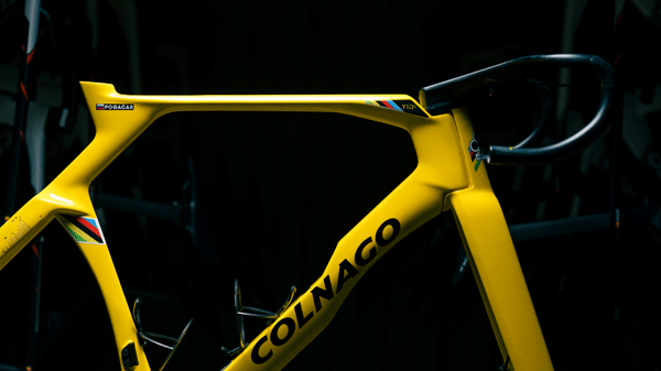 tadej yellow colnago